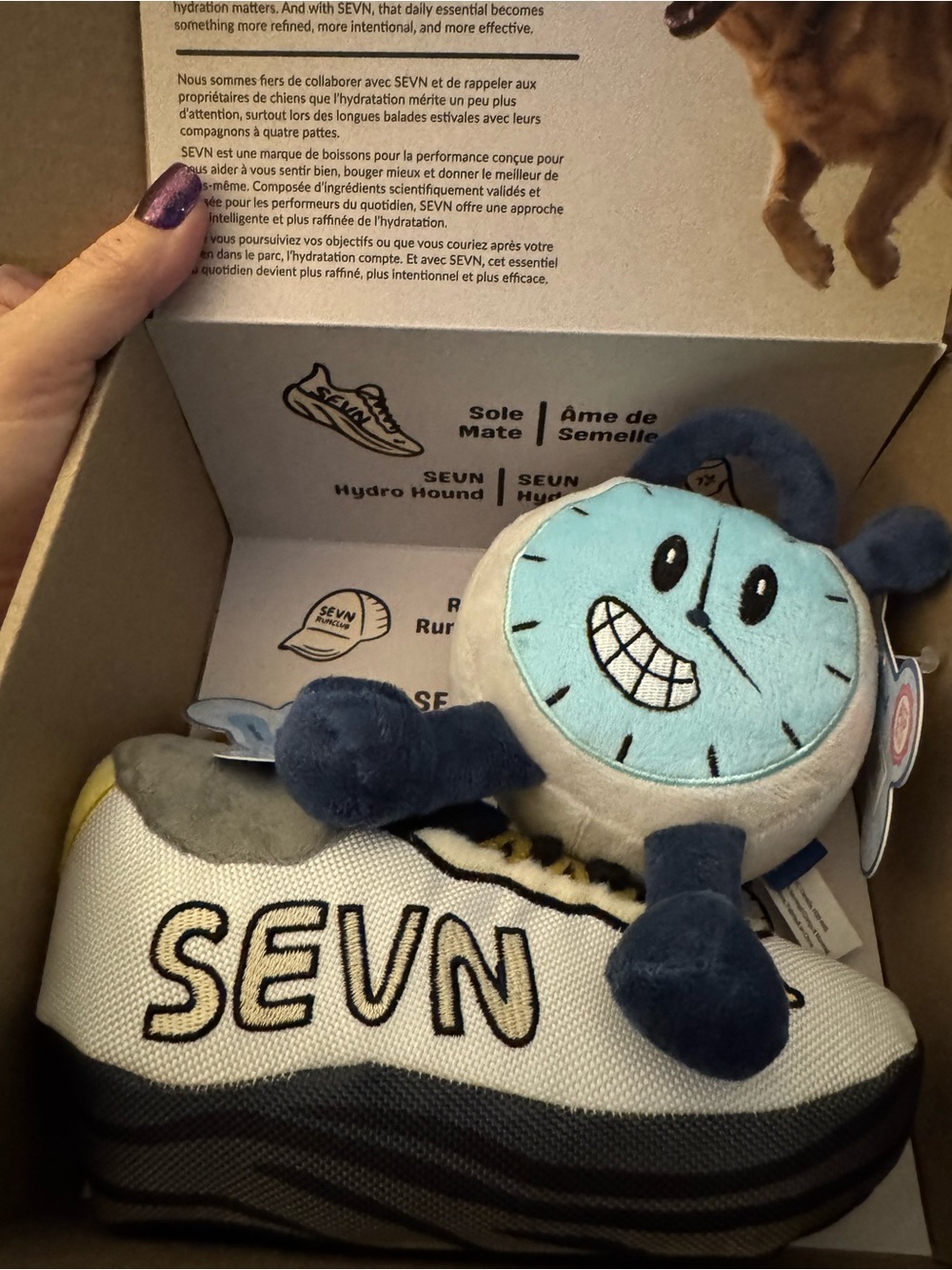 SEVN Run Club limited edition Dog Box NEW like Bark Box